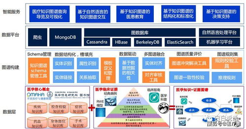 临床大数据在医院的应用与变现 数据处理服务先行